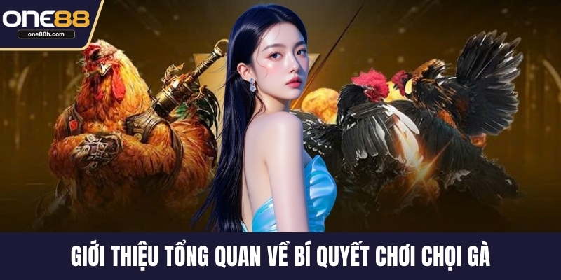 Giới thiệu tổng quan về bí quyết chơi chọi gà